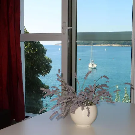 Apartment Milevoj - Rac158 By Interhome